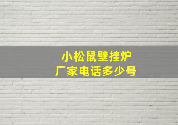 小松鼠壁挂炉厂家电话多少号