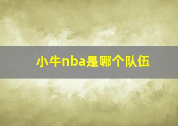 小牛nba是哪个队伍