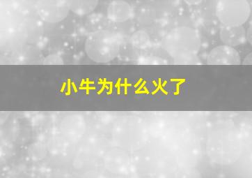 小牛为什么火了