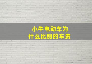 小牛电动车为什么比别的车贵