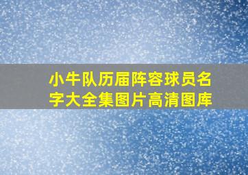 小牛队历届阵容球员名字大全集图片高清图库