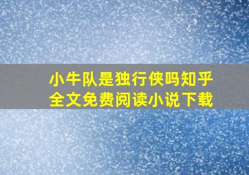 小牛队是独行侠吗知乎全文免费阅读小说下载