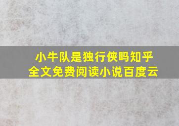 小牛队是独行侠吗知乎全文免费阅读小说百度云