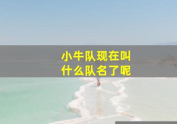 小牛队现在叫什么队名了呢