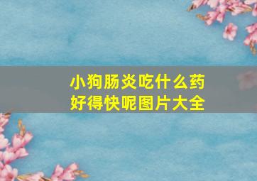 小狗肠炎吃什么药好得快呢图片大全