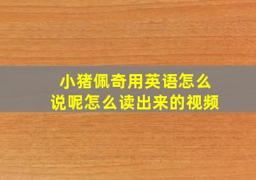 小猪佩奇用英语怎么说呢怎么读出来的视频