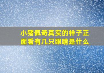 小猪佩奇真实的样子正面看有几只眼睛是什么