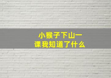 小猴子下山一课我知道了什么