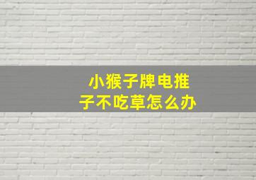 小猴子牌电推子不吃草怎么办