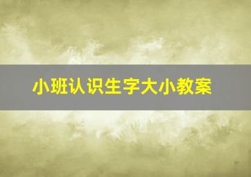 小班认识生字大小教案