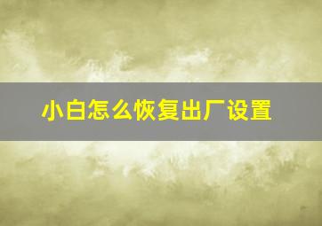 小白怎么恢复出厂设置