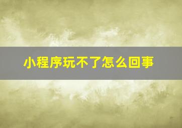 小程序玩不了怎么回事