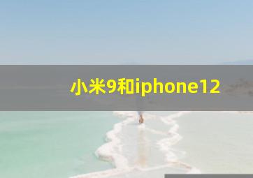 小米9和iphone12