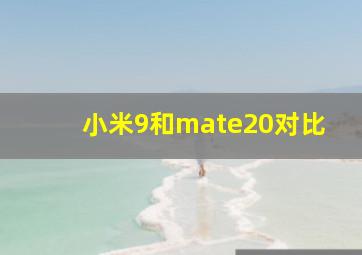 小米9和mate20对比