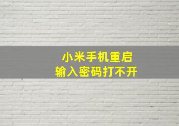 小米手机重启输入密码打不开