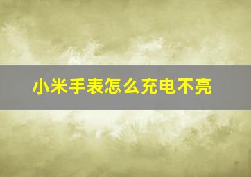 小米手表怎么充电不亮