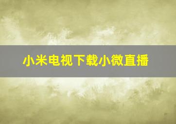 小米电视下载小微直播