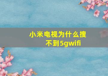 小米电视为什么搜不到5gwifi