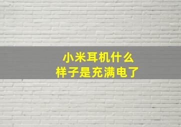 小米耳机什么样子是充满电了