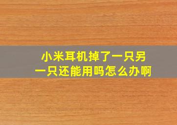 小米耳机掉了一只另一只还能用吗怎么办啊