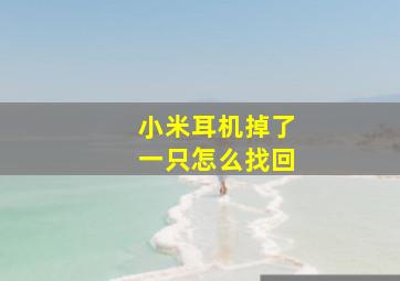 小米耳机掉了一只怎么找回