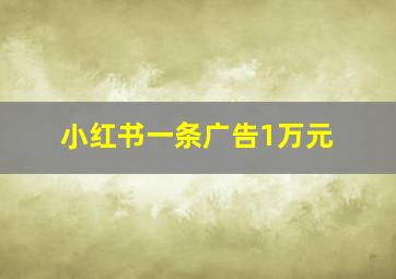 小红书一条广告1万元