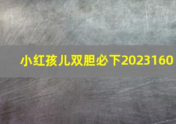 小红孩儿双胆必下2023160