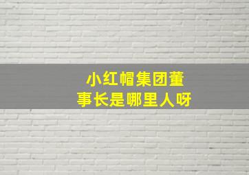 小红帽集团董事长是哪里人呀