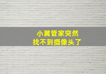 小翼管家突然找不到摄像头了