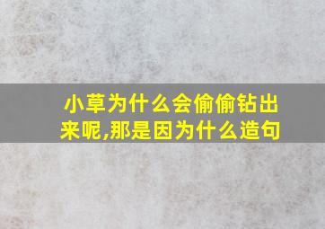 小草为什么会偷偷钻出来呢,那是因为什么造句