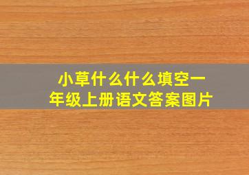 小草什么什么填空一年级上册语文答案图片