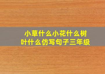 小草什么小花什么树叶什么仿写句子三年级