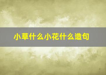 小草什么小花什么造句