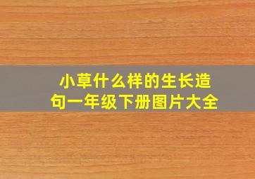 小草什么样的生长造句一年级下册图片大全