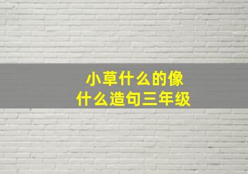 小草什么的像什么造句三年级