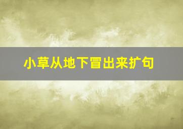 小草从地下冒出来扩句