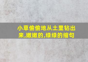 小草偷偷地从土里钻出来,嫩嫩的,绿绿的缩句