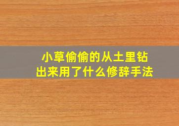 小草偷偷的从土里钻出来用了什么修辞手法