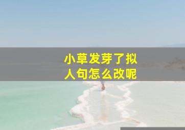 小草发芽了拟人句怎么改呢