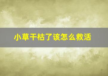 小草干枯了该怎么救活