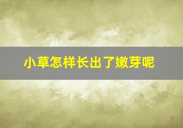 小草怎样长出了嫩芽呢