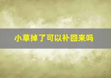 小草掉了可以补回来吗