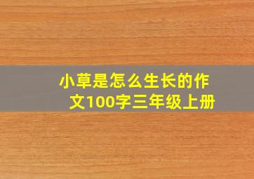 小草是怎么生长的作文100字三年级上册