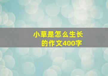 小草是怎么生长的作文400字