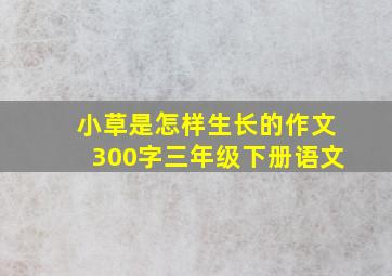 小草是怎样生长的作文300字三年级下册语文