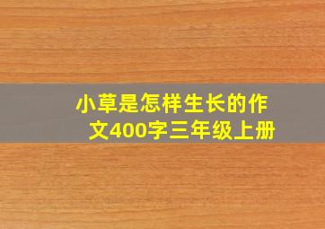 小草是怎样生长的作文400字三年级上册