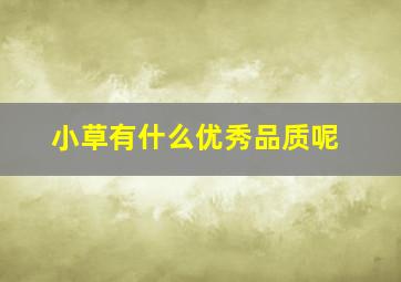 小草有什么优秀品质呢