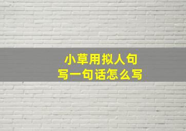 小草用拟人句写一句话怎么写