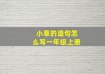 小草的造句怎么写一年级上册