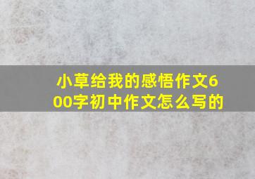 小草给我的感悟作文600字初中作文怎么写的